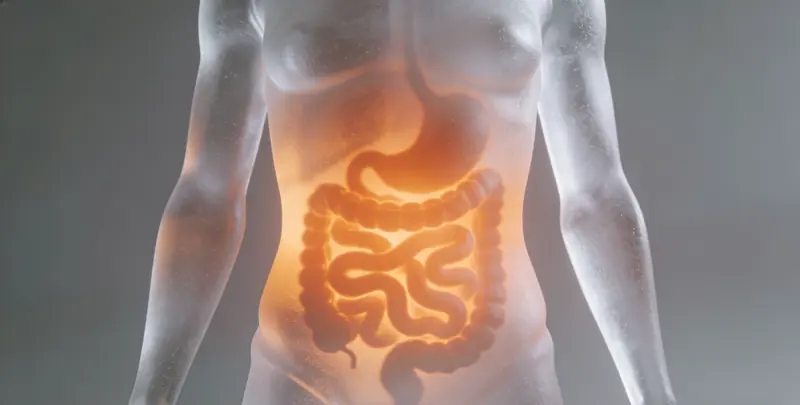 洛阳胃癌分子分型基因检测项目（组织）图片1